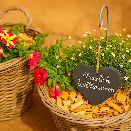 Storchenblick Muhr Am Inkl Fruehstueck