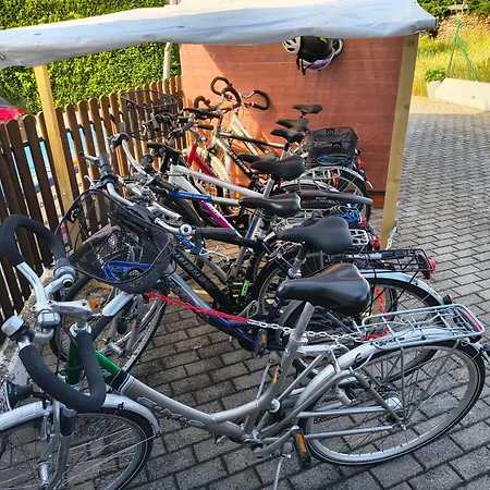 Storchenblick Muhr Am Inkl Fruehstueck Lejlighed *